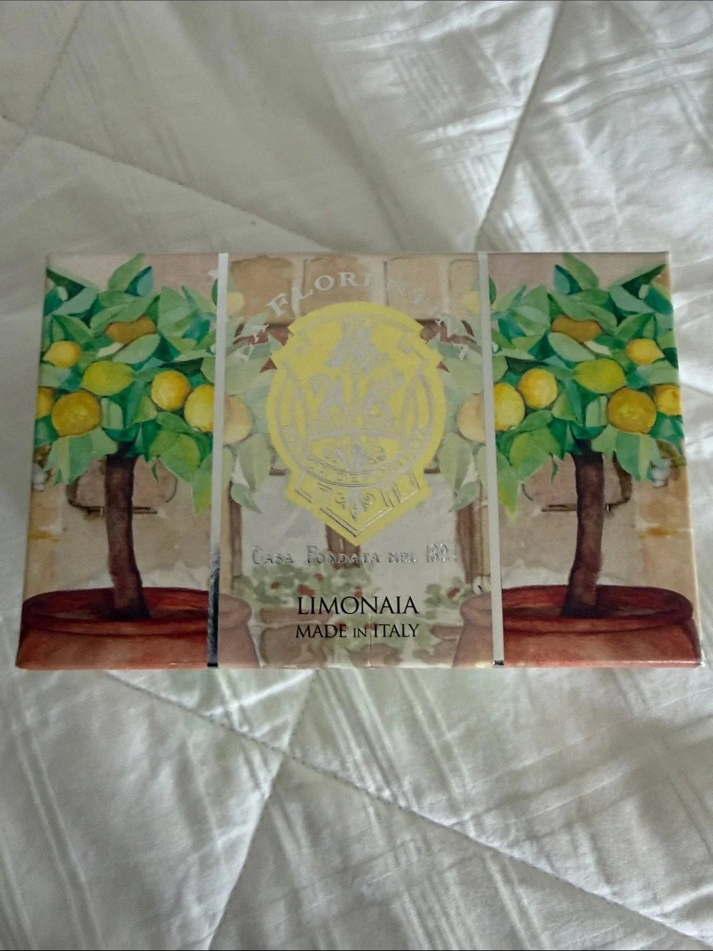 Lemon Soap Gift Set - White, Yellow, Green